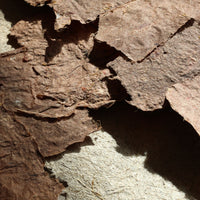 Volúmenes de la Tierra II