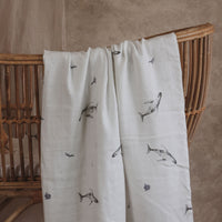 MANTA BALLENAS