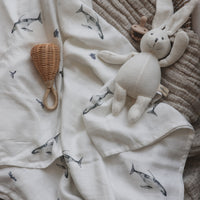 MANTA BALLENAS