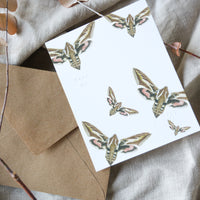 Tarjetas Ilustradas