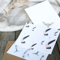 Tarjetas Ilustradas