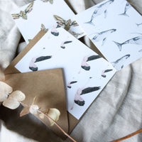 Tarjetas Ilustradas