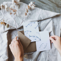 Tarjetas Ilustradas