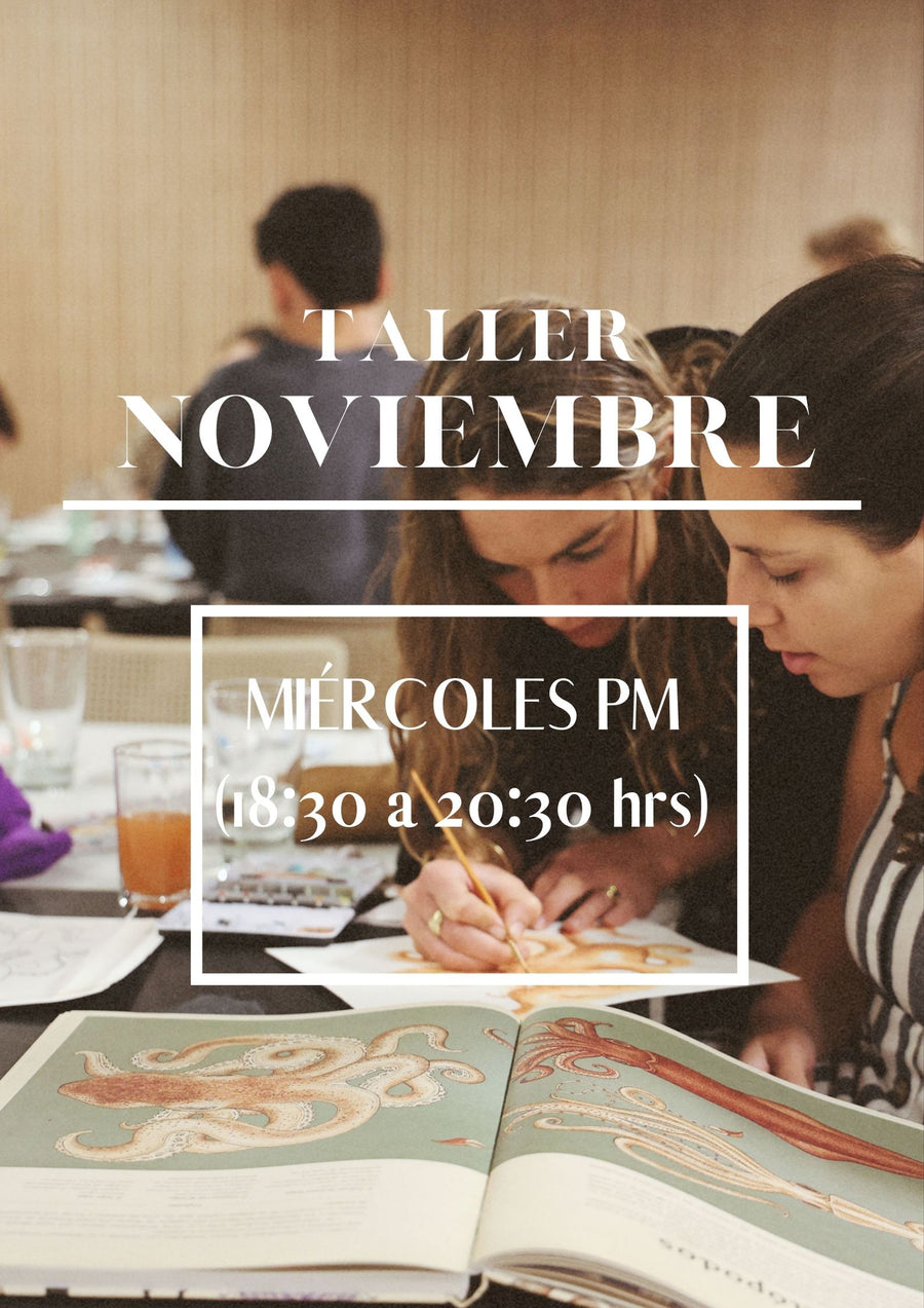 TALLER NOVIEMBRE MIÉRCOLES PM