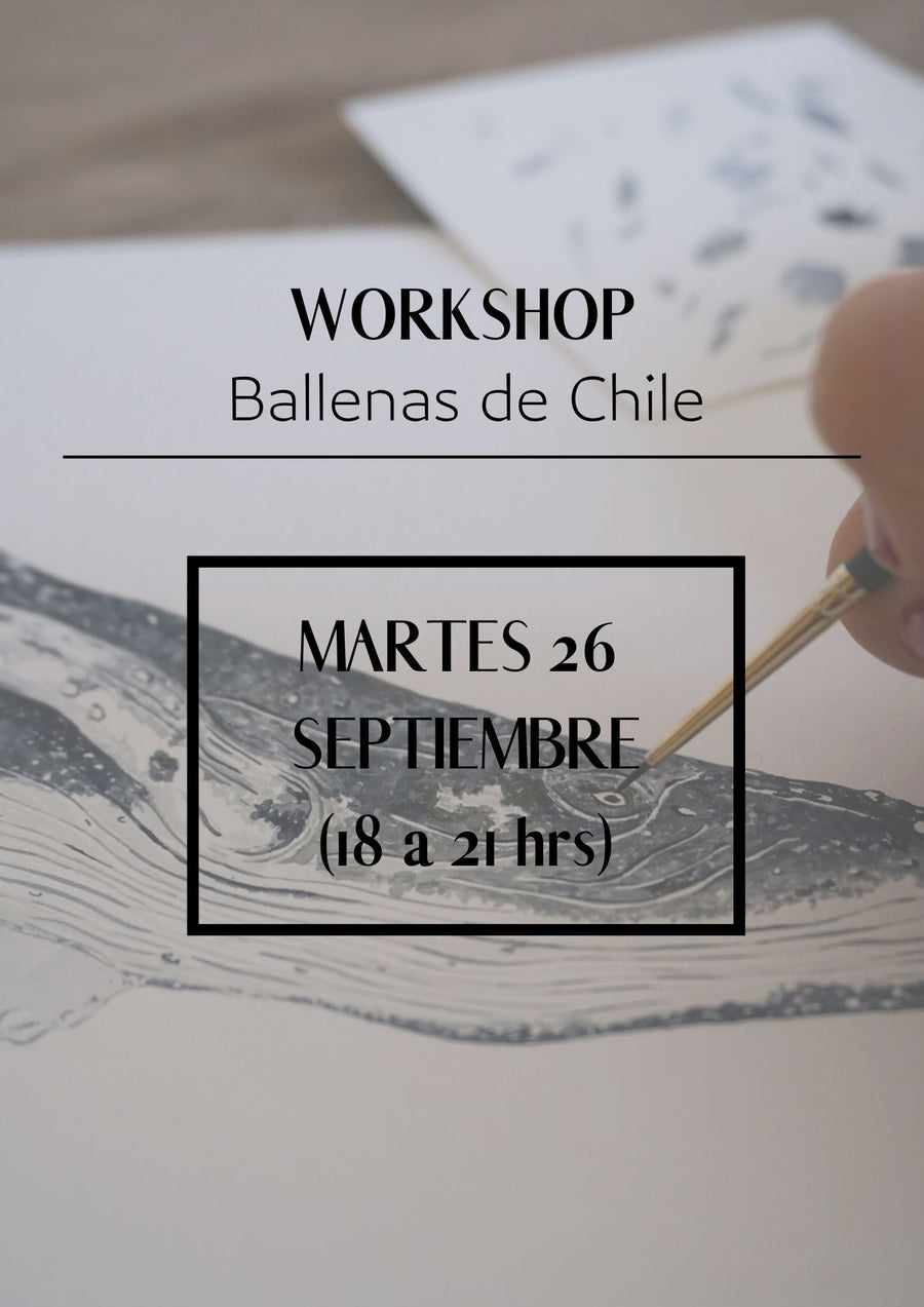 WORKSHOP BALLENAS DE CHILE 26 SEPT